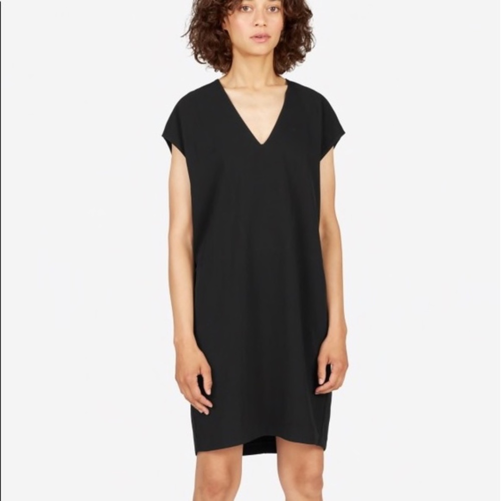 Everlane Japanese GoWeave Cocoon V Neck Dress